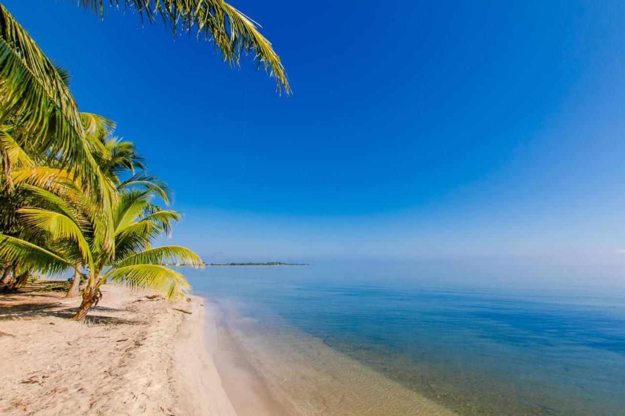 Placencia Khalkob'S Estate 아파트 외부 사진