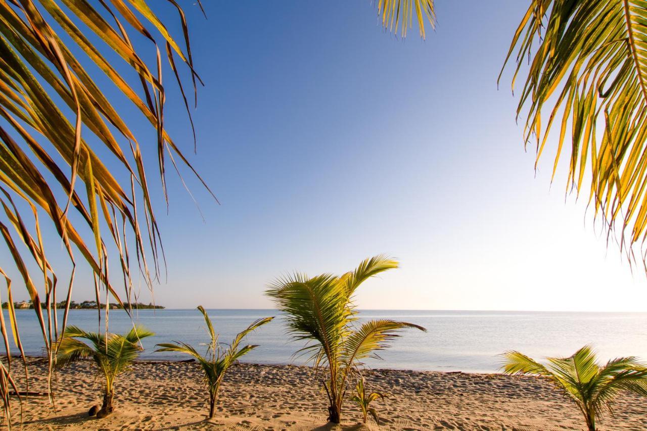 Placencia Khalkob'S Estate 아파트 외부 사진